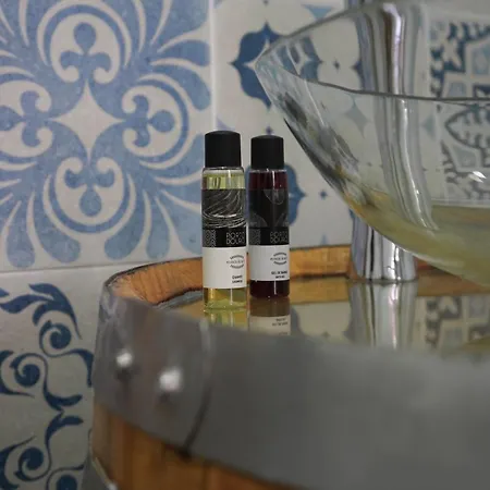 The Blue And White House Oporto