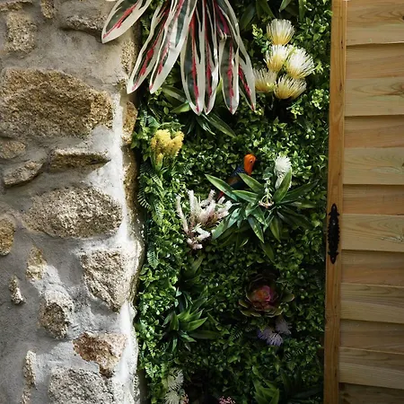 The Blue And White House *