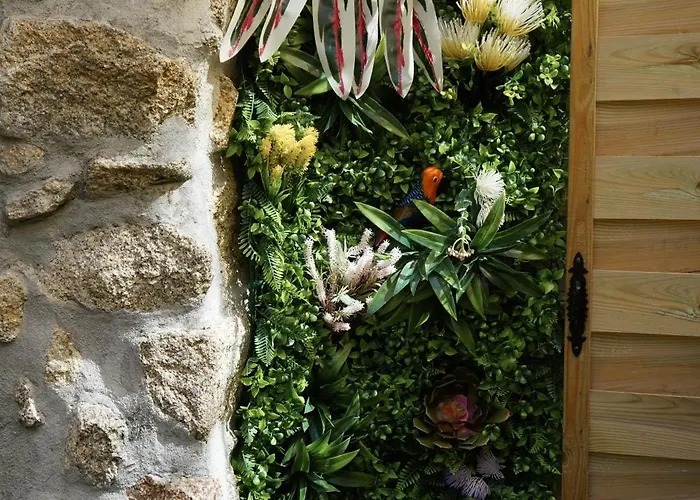 The Blue And White House *