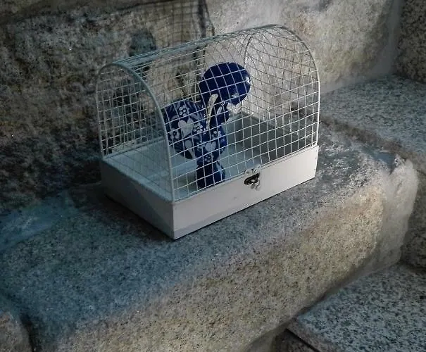 The Blue And White House Appartamento