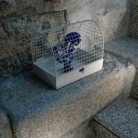 The Blue And White House Appartement